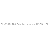 Harbi1  ELISA Kit| Rat Putative nuclease HARBI1 ELISA Kit